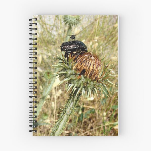 Item preview, Thistle Do designed and sold by gregw.