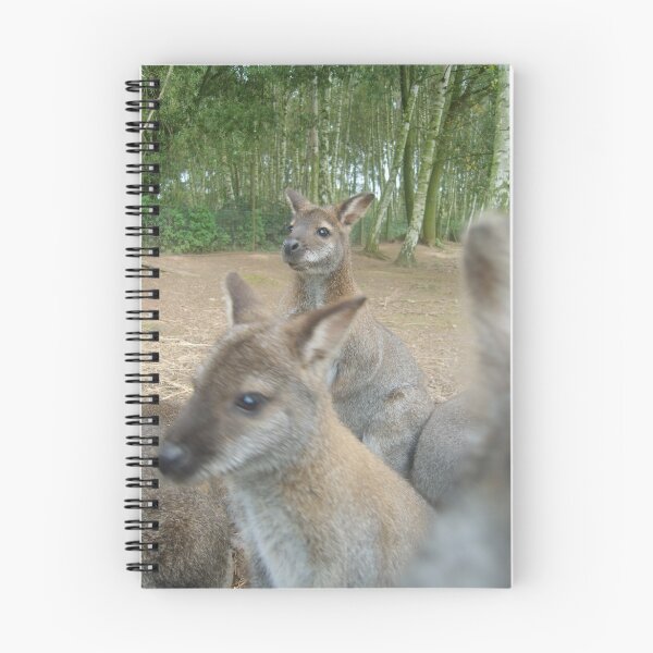 Item preview, Wallaby in the picture? designed and sold by Tanya Housham.