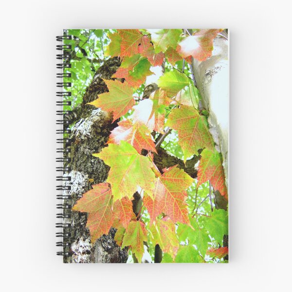 Item preview, beginning designed and sold by Sian Houle.