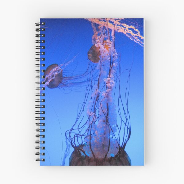 Item preview, AQUARIUM designed and sold by james cullen.