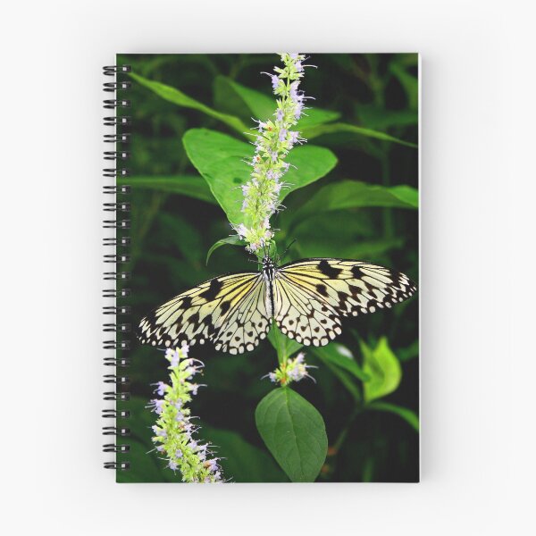 Item preview, White Butterfly designed and sold by Jonathan Cohen.