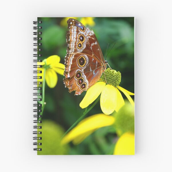 Item preview, Resting Butterfly designed and sold by Jonathan Cohen.