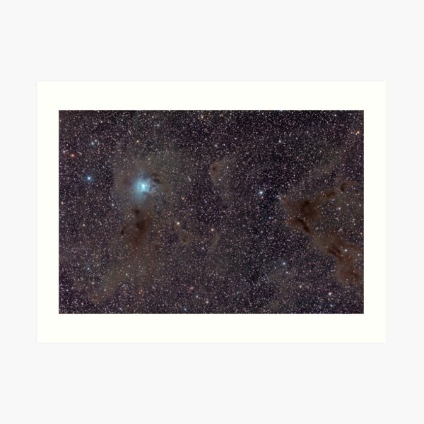 NGC 7023 - Iris Nebula Among Dust Art Print