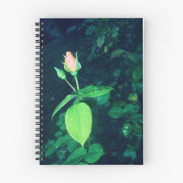 Item preview, rosebuds xpro 11/03/18 designed and sold by Shellaqua.