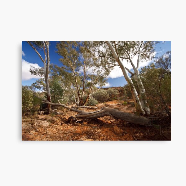 Item preview, Along Homestead Gorge, Mutawintji designed and sold by Paul Piko.