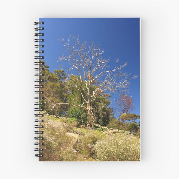 Item preview, Tree On The Hill  designed and sold by EOS20.