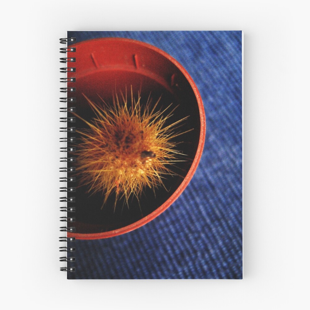 Item preview, Spiral Notebook designed and sold by David Clifford.