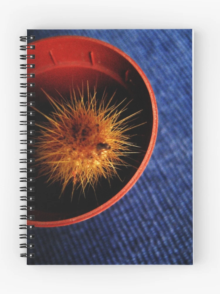 Thumbnail 1 of 3, Journal, spike designed and sold by David Clifford.