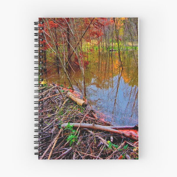 Item preview, Beaver Pond Reflections designed and sold by colorfulbundles.