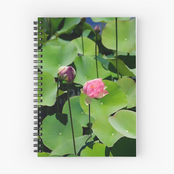 Item preview, Pink Water Lily designed and sold by Barbara Gordon.
