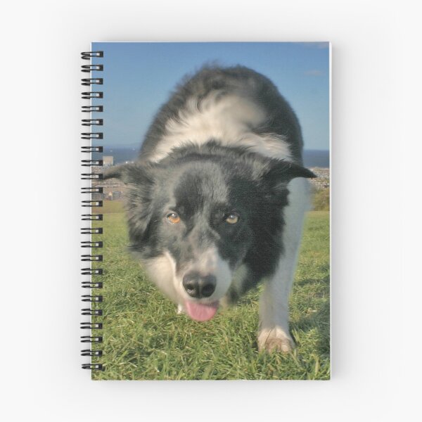 Item preview, Border Collie designed and sold by Chris Clark.
