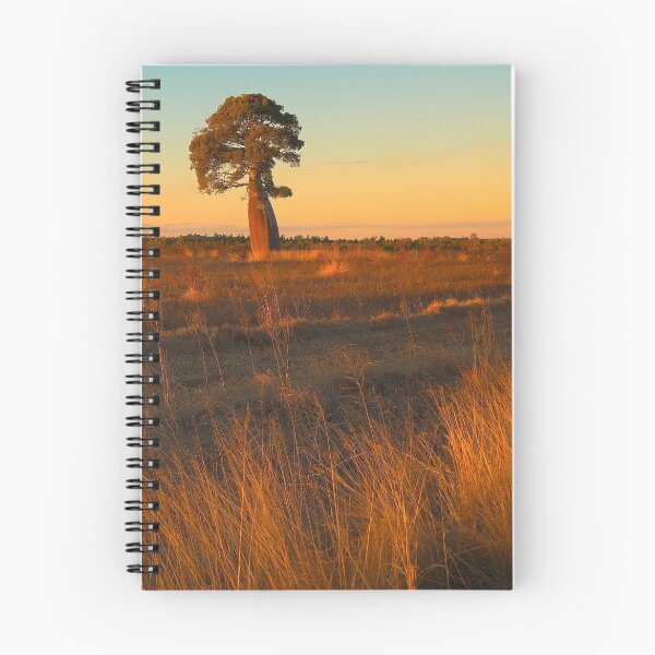 Item preview, Kingaroy 26km designed and sold by AdamDonnelly.