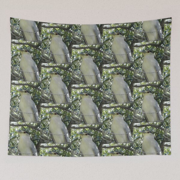 Item preview, Black Capped Night Heron designed and sold by 2CrabbySisters.