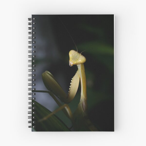 Item preview, Yellow Mantis designed and sold by Brett Habener.