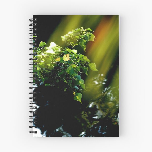 Artikelvorschau, Light's of Day entworfen und verkauft von seagrl44.