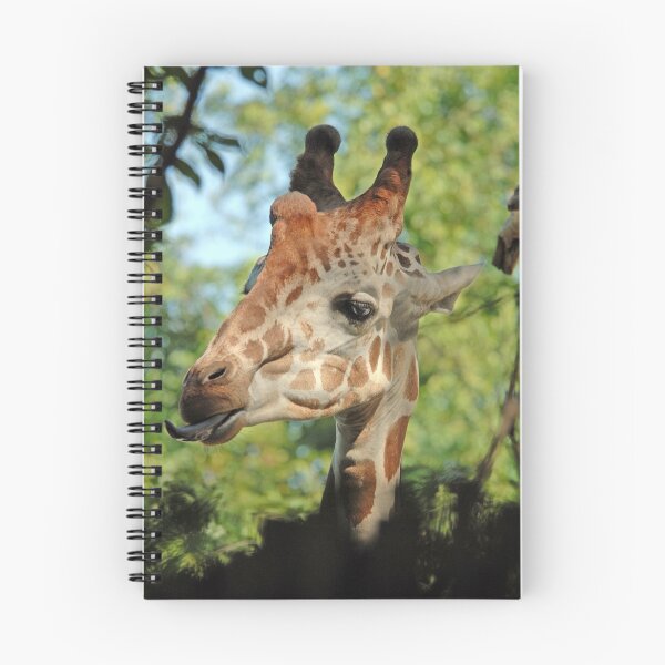 Item preview, Making a Statement designed and sold by Bonnie T.  Barry.