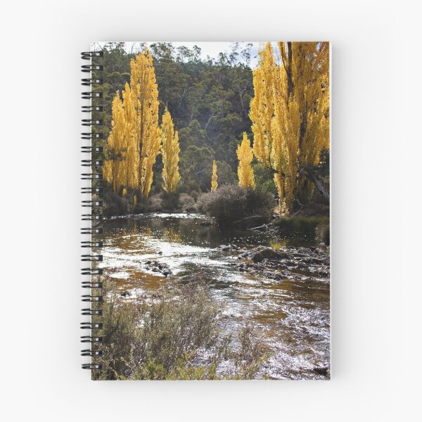 Artikelvorschau, Autumn Poplars entworfen und verkauft von James  Messervy.