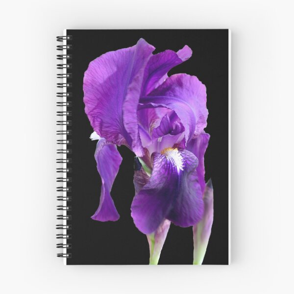 Item preview, Purple iris designed and sold by Kath Gillies.