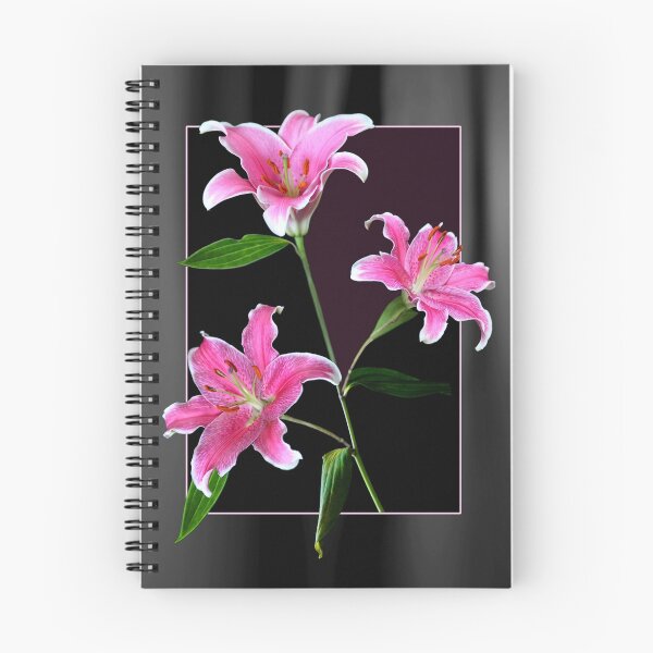 Item preview, Pink Liliums designed and sold by Kath Gillies.