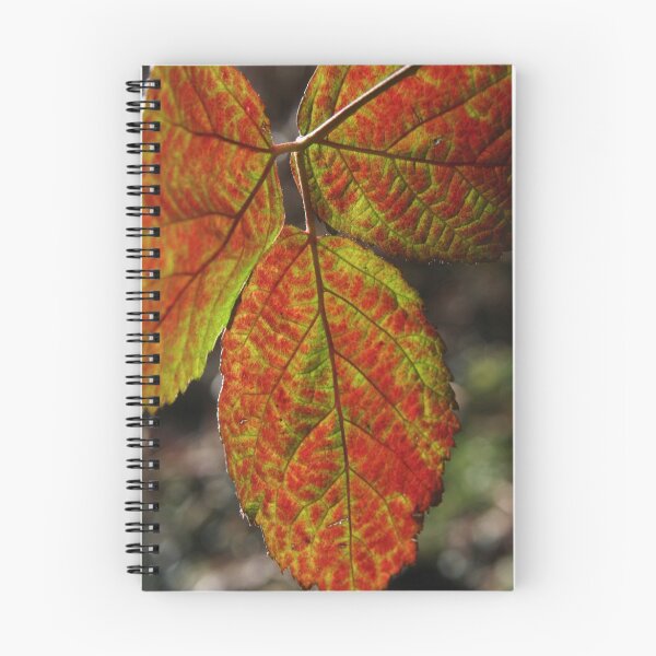 Item preview, Autumn leaf designed and sold by hamsta12.