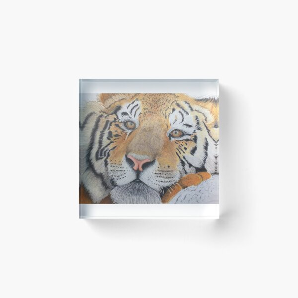 Item preview, Dreaming Tiger designed and sold by Happylilpencils.
