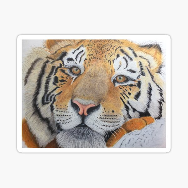 Item preview, Dreaming Tiger designed and sold by Happylilpencils.