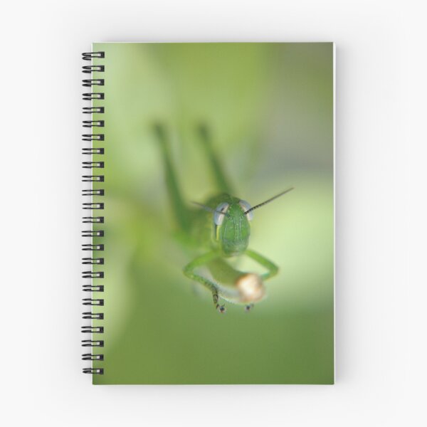 Item preview, Byron Grasshopper designed and sold by AmandaCole.