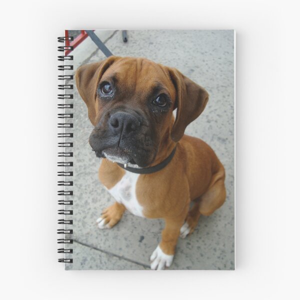 Artikelvorschau, cuttie entworfen und verkauft von Rebecca Garibay Photography.
