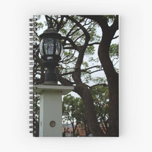 Aperçu de l'œuvre Lamp post créée et vendue par Rebecca Garibay Photography.
