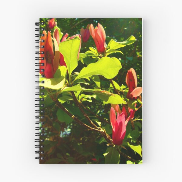 Item preview, Port Wine Magnolia designed and sold by FABART.