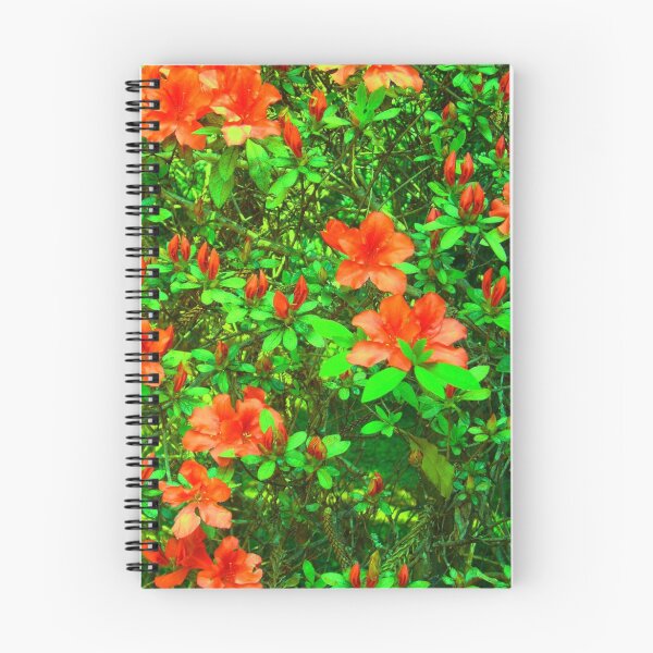 Artikelvorschau, Azalea #2 entworfen und verkauft von FABART.