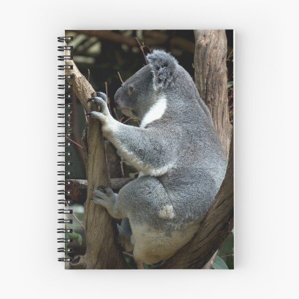 Item preview, Koala designed and sold by neroli50.