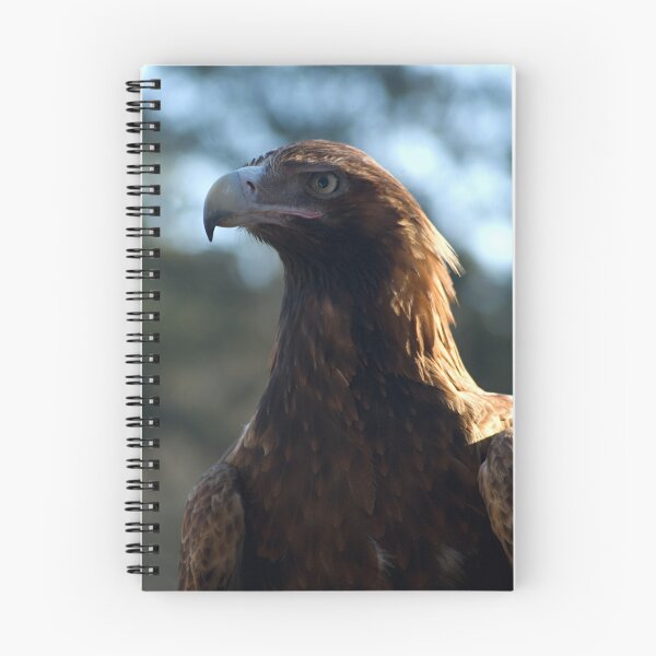 Item preview, Wedgetail Eagle designed and sold by neroli50.