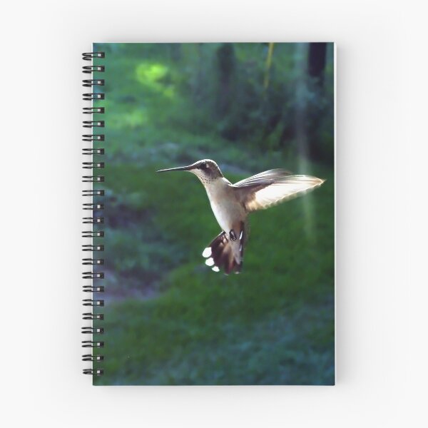 Item preview, In Flight designed and sold by Suni Pruett.