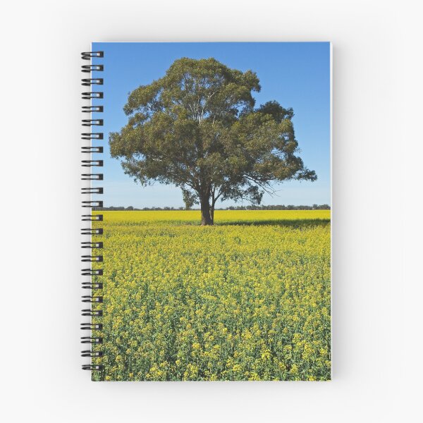 Artikelvorschau, Canola entworfen und verkauft von Darren Stones.