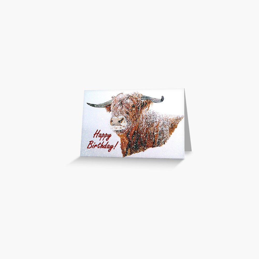 Snowy Highland Cow in Falling Snow Birthday Card Greeting Card