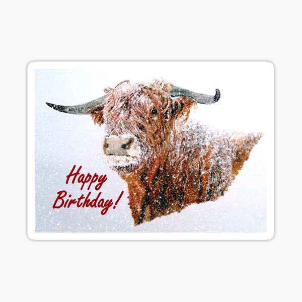 Snowy Highland Cow in Falling Snow Birthday Card Sticker
