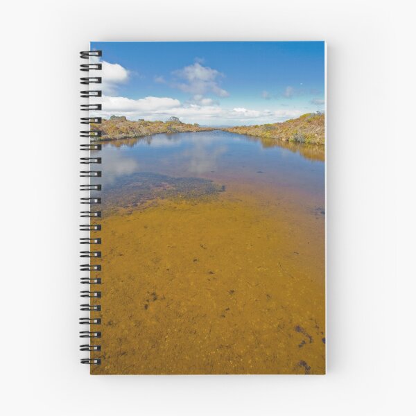 Item preview, Hartz Mountains Lake designed and sold by Neil.