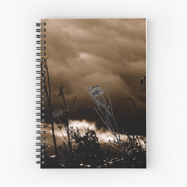 Item preview, Northern Night........ designed and sold by Arthur Chambers.