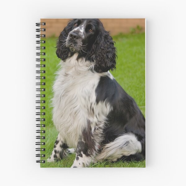 Item preview, Springer Spaniel designed and sold by Chris Clark.