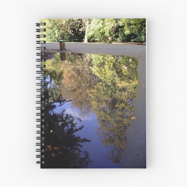 Item preview, reflection designed and sold by gothgirl.