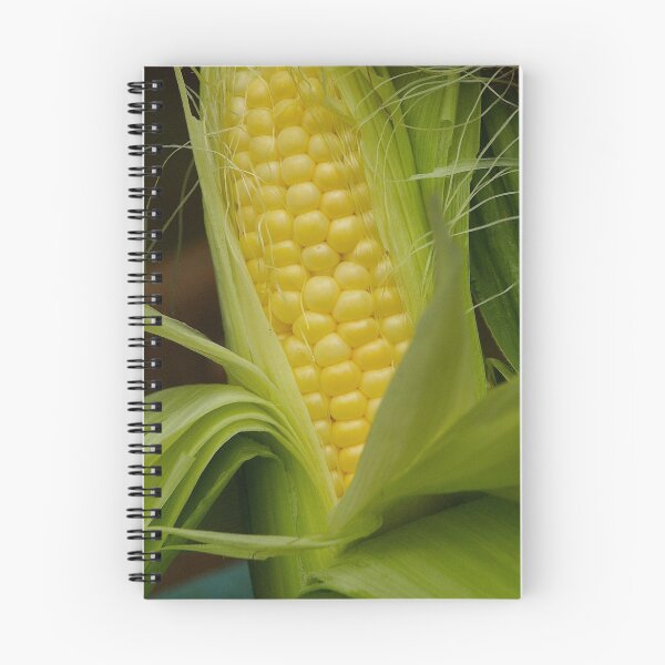 Item preview, Corn on the cob designed and sold by Jeffrey  Sinnock.