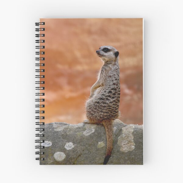 Item preview, Meercat designed and sold by Kim Roper.