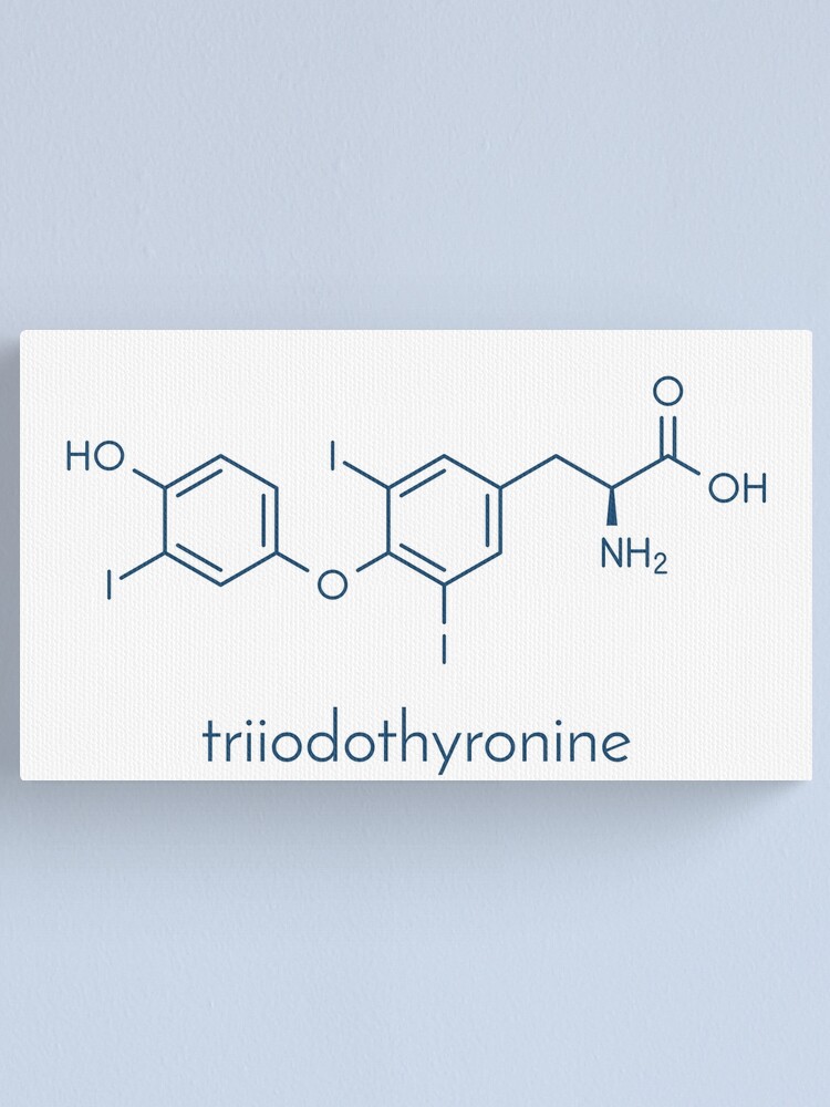 4 Schlüsseltaktiken, die die Profis für anabole steroide verwenden