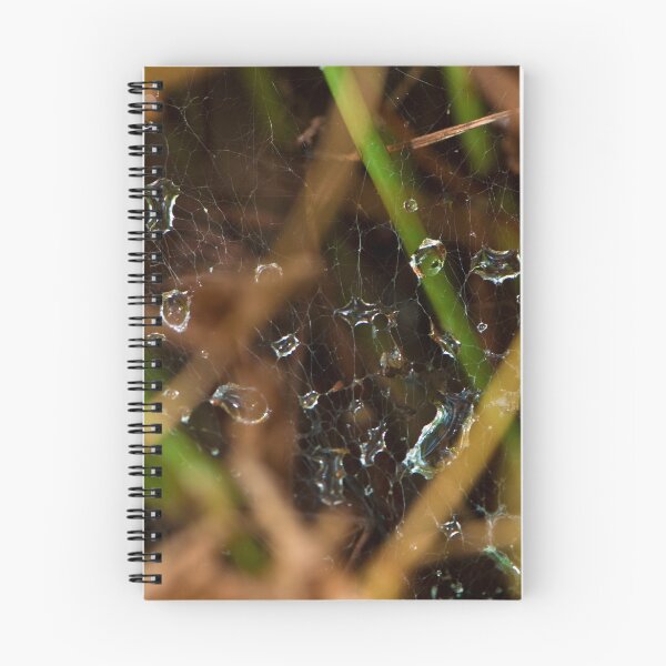 Item preview, Water Drops Spider Web designed and sold by Douglas Gaston IV.