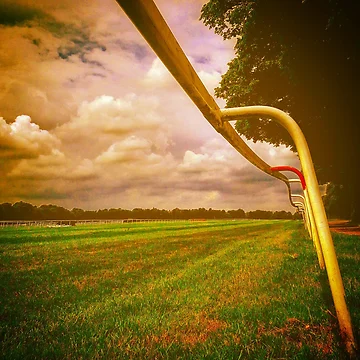 Artwork thumbnail, Random Captures R139 by Hyperion Photoart