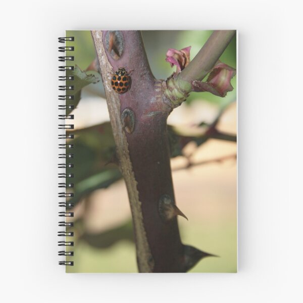 Item preview, Ladybug designed and sold by Bente Hasler.
