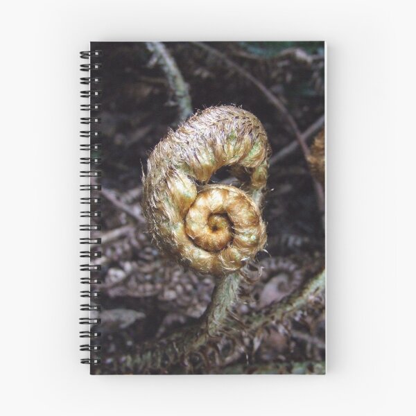 Item preview, Scroll designed and sold by Samara  Lee.