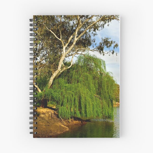 Item preview, Murray River at Albury designed and sold by Darren Stones.