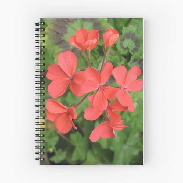 Artikelvorschau, Geranium entworfen und verkauft von Stephen  Shelley.